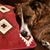 David Kuras's profile image