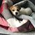 Linda Montalvo's profile image