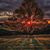 Debbie Stempen Arbuckle's profile image