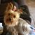 Sherry Shepherd Gutierrez's profile image