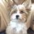 Patty Hughes Gerken's profile image