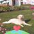 Sheryl Douglas's profile image