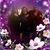 Joanne Berry's profile image