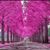 Catherine Cooper's profile image