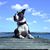Rex Amstaff's profile image