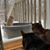 Amber Alfred Ehlinger's profile image