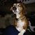 Gary Winkler's profile image