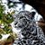 Jeff Dawald's profile image