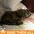 Sara LaPoint's profile image