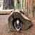 Emiline Keeter's profile image