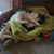 Sarah Aikenhead's profile image