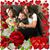 Esther Kleid Finkelstein's profile image