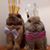Renee Harbison McKinney's profile image