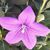 Andrea Budnick's profile image
