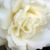 Barbara Dockery's profile image
