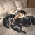Tina Buben-Dowling's profile image
