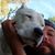 Trevor L Mertz's profile image