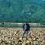 Nay Myo Htun's profile image