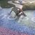 Elaine Carles Perault's profile image
