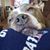 Marilyn Shea's profile image