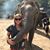 Molly Wallin's profile image