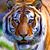 Deborah Breaux's profile image