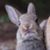 Bill Ostrander's profile image
