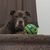 Cynthia Diann Vile's profile image