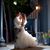 Brianna Emond's profile image