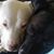 Pamela Ashley's profile image