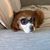 Gena Parbs Burwell's profile image