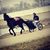 Mark Ater-Nicolas's profile image