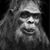 Brandon Whorley's profile image