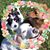 Mimi Rollins's profile image