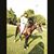 AhMed PaThan II's profile image