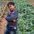 Bikram Keshari Nayak's profile image