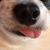 Laura Granados's profile image