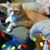 James A McBee's profile image