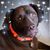 Linda Davis's profile image