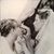 Nancy Hatlo-Donnelly's profile image
