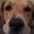 Russ Sample's profile image