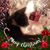 Shannon Ross's profile image