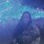 Christie Garsee's profile image