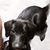 Diana Wagner's profile image
