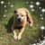 Jessica McElroy Allstun's profile image