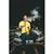 Mouayad Alkabouni's profile image