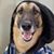 David Markey's profile image