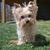 Connie Schmitt Lanigan's profile image