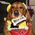 Misha Ambrosia's profile image
