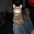 Wanda Fritsch's profile image
